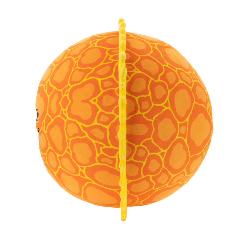 The SolarBalls Sun Plush