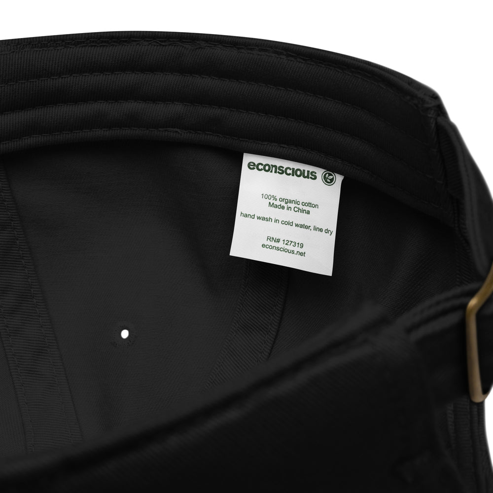 Earth Eco Baseball Cap