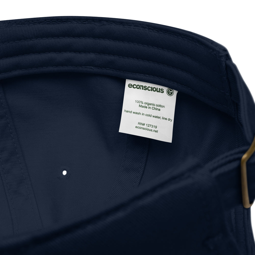 Earth Eco Baseball Cap